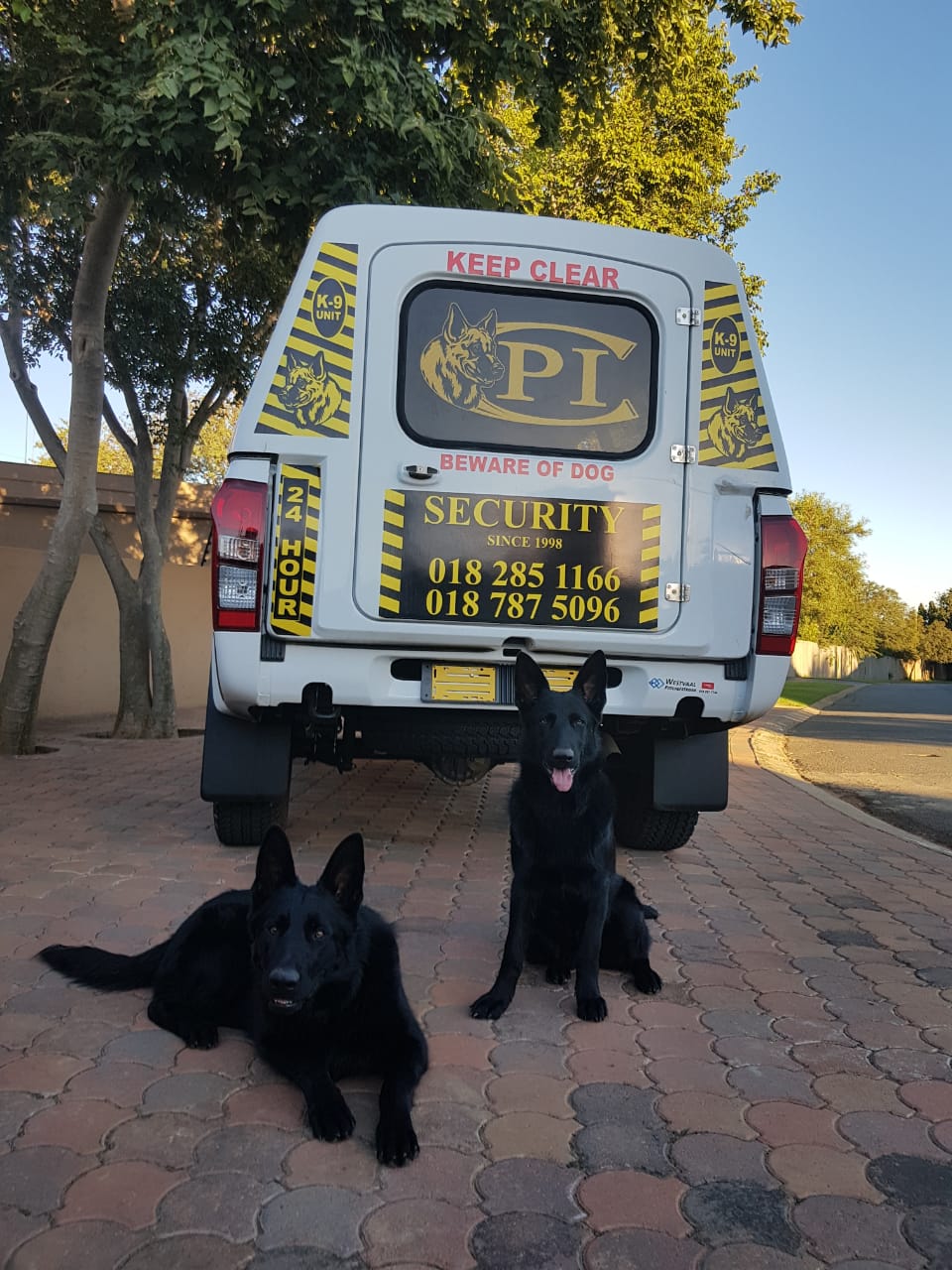 K9 Nadja K9 Nadja